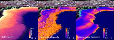 Abiotic and Human Drivers of Reef Habitat Complexity Throughout the Main Hawaiian Islands